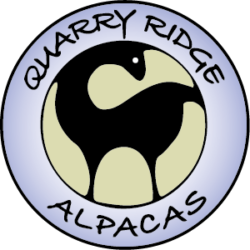 Quarry Ridge Alpacas
